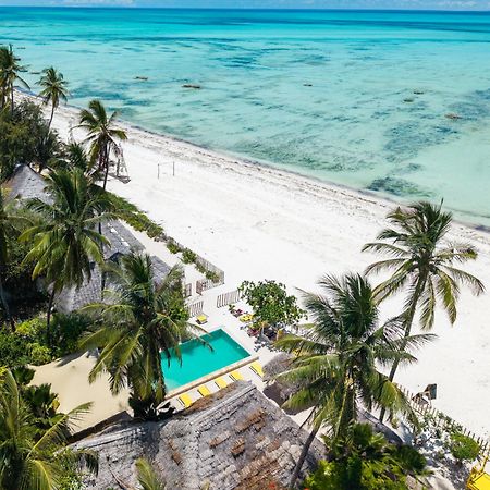 Pili Pili Palm Beach Jambiani  Luaran gambar