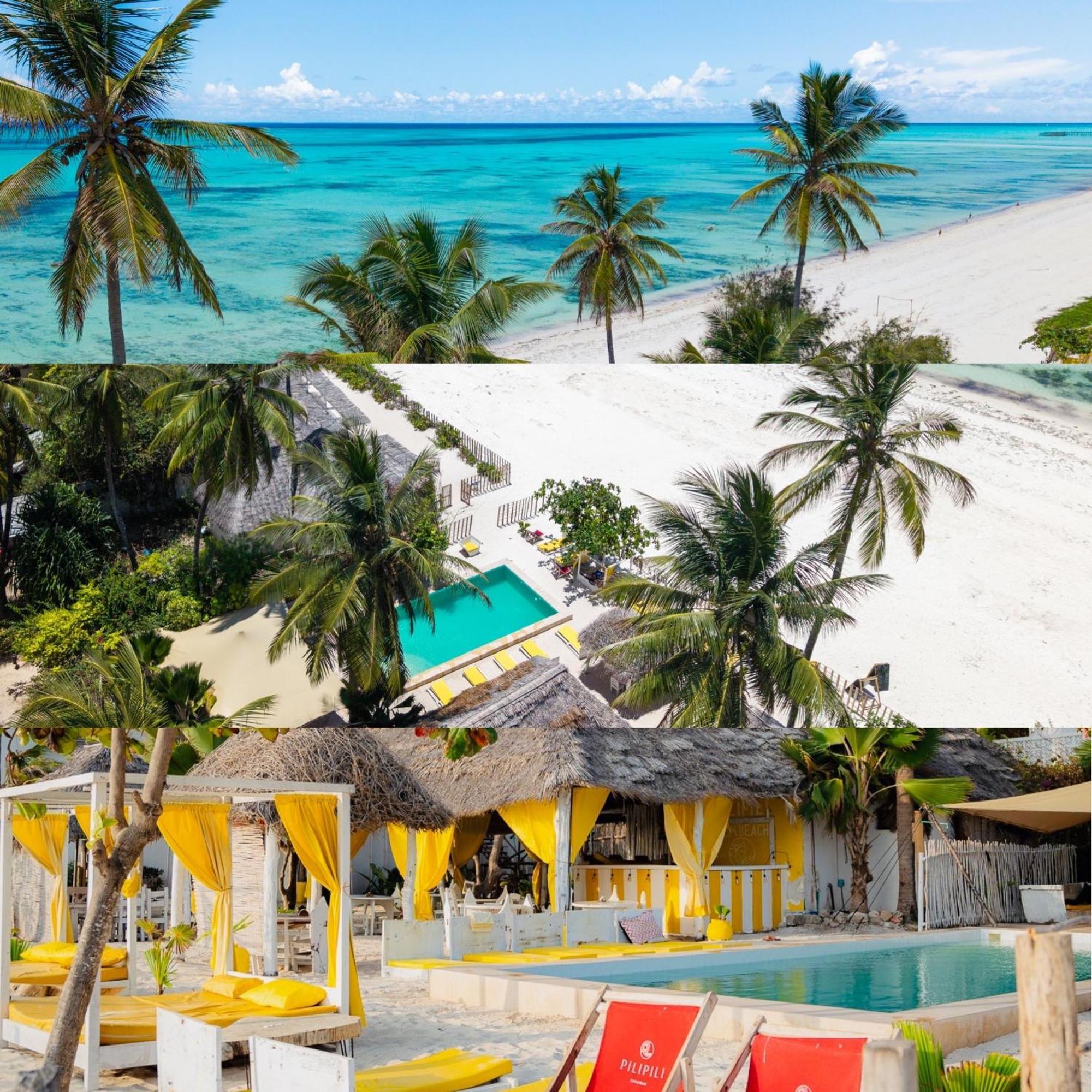 Pili Pili Palm Beach Jambiani  Luaran gambar