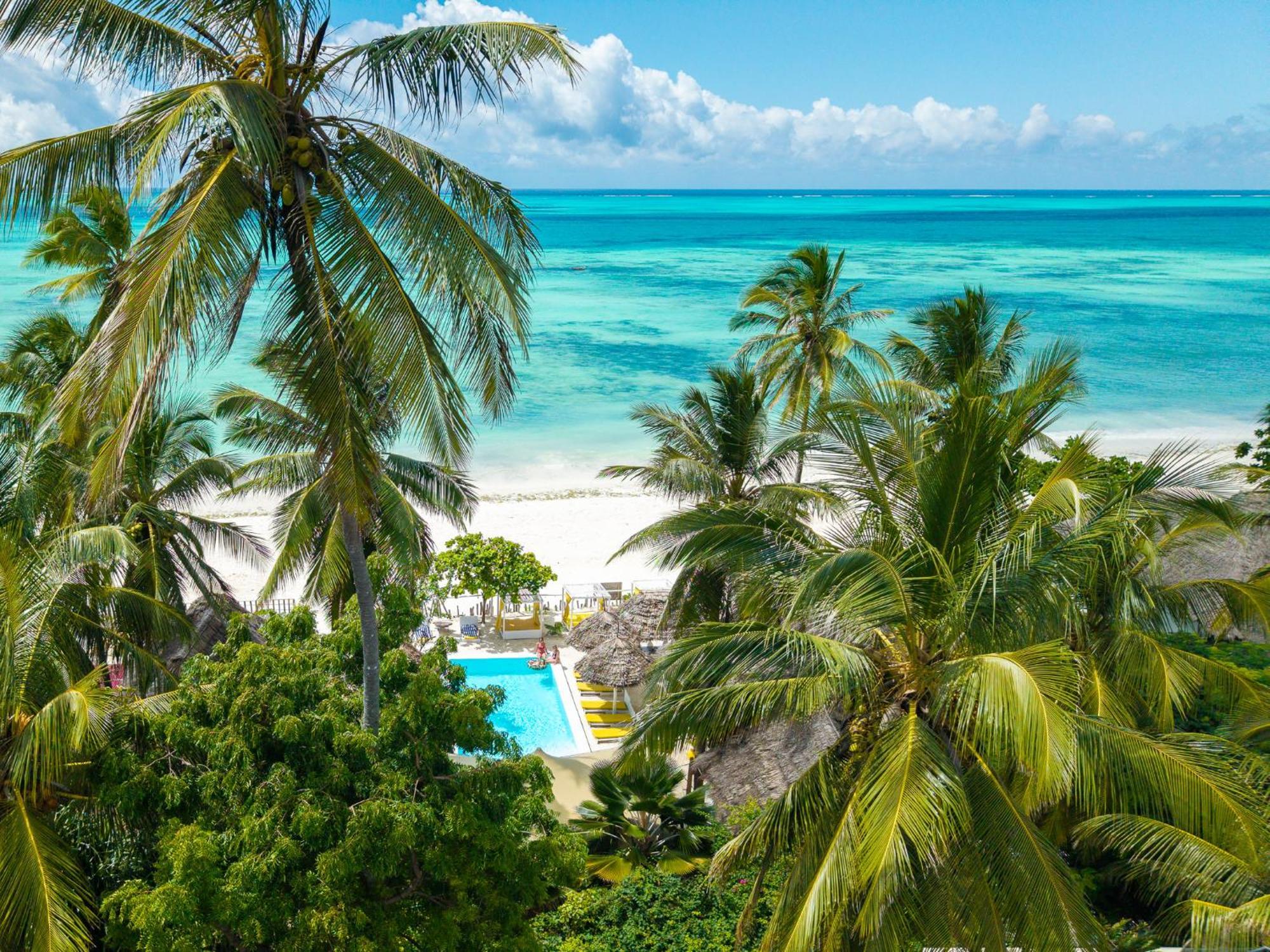 Pili Pili Palm Beach Jambiani  Luaran gambar